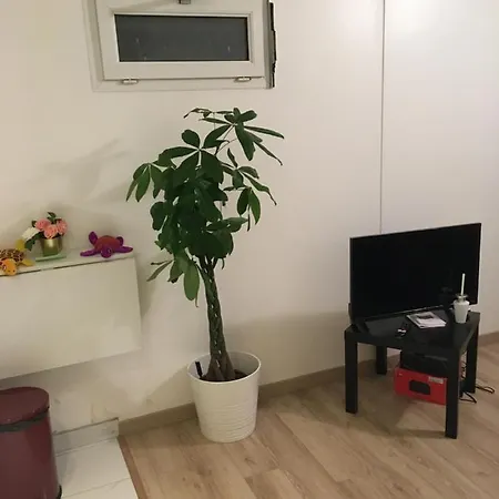 Cosy Flat Dans Coeur De Verdure Pres De Paris Châtenay